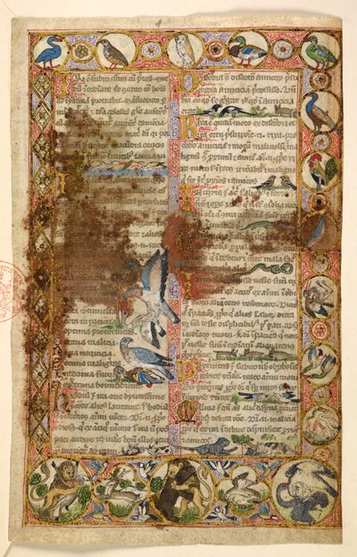 Bordures géométriques pleine page de losanges, médaillons et quadrilobes habités par des animaux et des scènes figuratives : oiseaux, reptiles et animaux, y compris des lions attaquant d