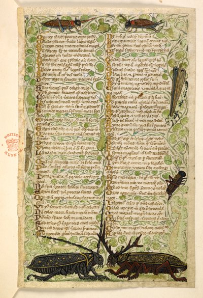 Coléoptères cornus, grillons et criquet. Traité sur les vertus et les vices, et une histoire anonyme en prose de la Sicile (fragment) - Master of the Cocharelli Codex
