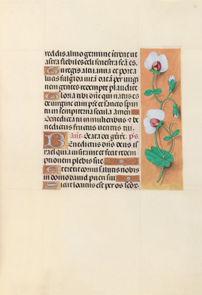 Heures de la reine Isabelle la Catholique, reine d