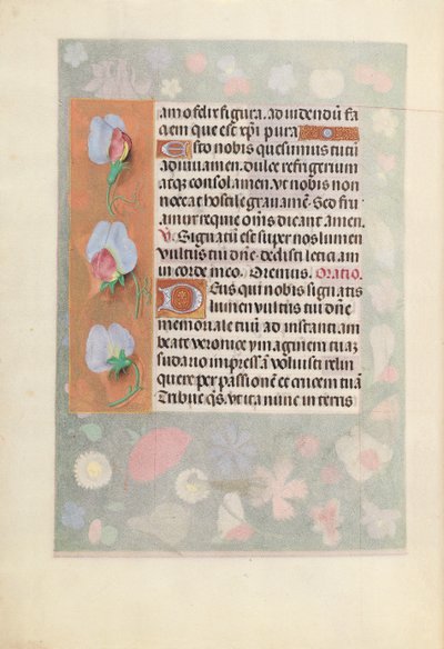 Heures de la reine Isabelle la Catholique, reine d