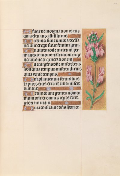 Heures de la reine Isabelle la Catholique, reine d