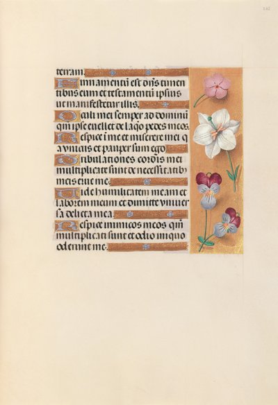 Heures de la Reine Isabelle la Catholique, Reine d