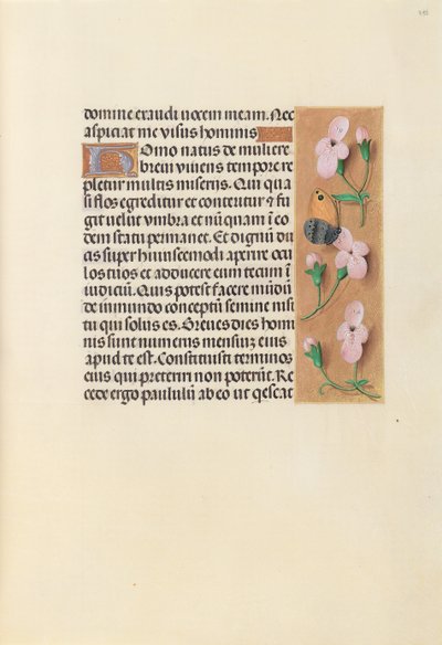Heures de la reine Isabelle la Catholique, reine d