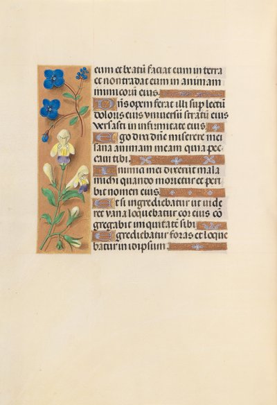 Heures de la reine Isabelle la Catholique, reine d