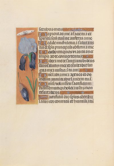 Heures de la Reine Isabelle la Catholique, Reine d