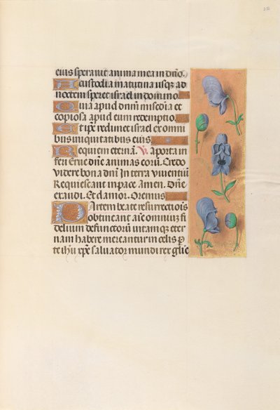 Heures de la Reine Isabelle la Catholique, Reine d