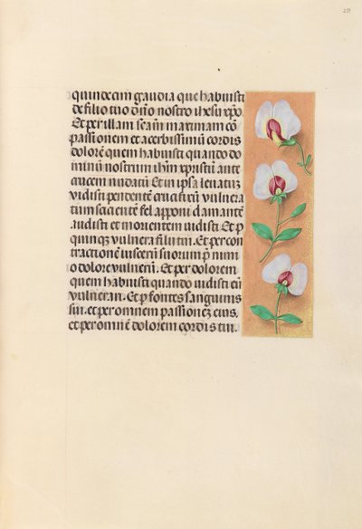 Heures de la reine Isabelle la Catholique, reine d