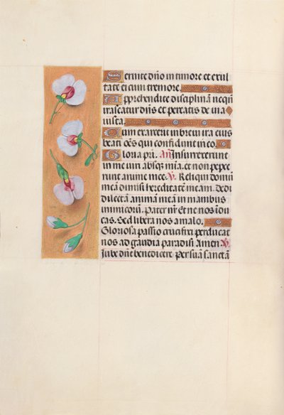Heures de la reine Isabelle la Catholique, reine d