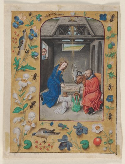 Feuille extraite d