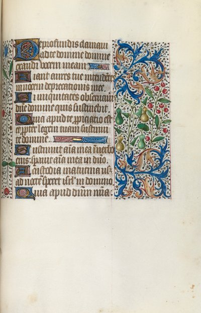 Livre d