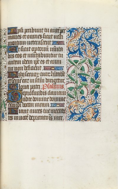 Livre d