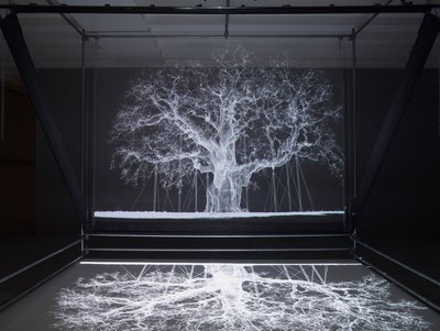 Albion, 2017 (projecteur, lecteur multimédia, échafaudage, film transparent, bois, peinture, miroir, accessoires d