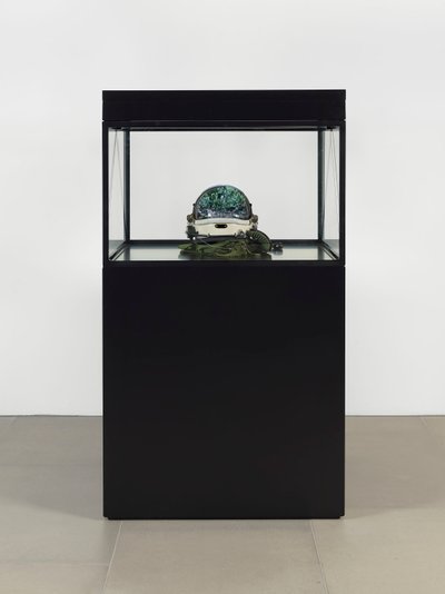 Alpha Omega, 2016 (verre, écran LCD, lecteur multimédia, réplique de crâne, casque spatial, bois) - Mat Collishaw