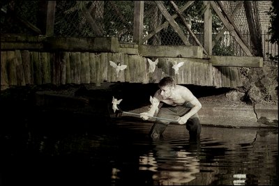 Attraper les fées 4 - Mat Collishaw