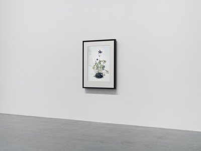Columbine, 2018 (cadre en bois, bordure, écran LCD, ventilateur et lecteur multimédia) - Mat Collishaw