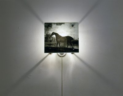 Chevaux Stubbs - Mat Collishaw