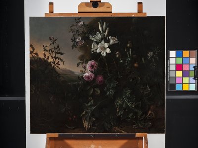 Nature morte - Matthias Withoos