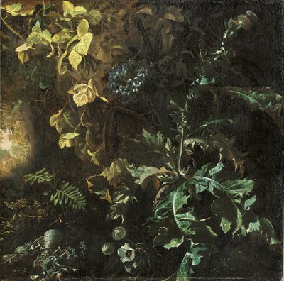 Chardons et autres plantes sur un sol forestier, un paysage au-delà, fragment - Matthias Withoos