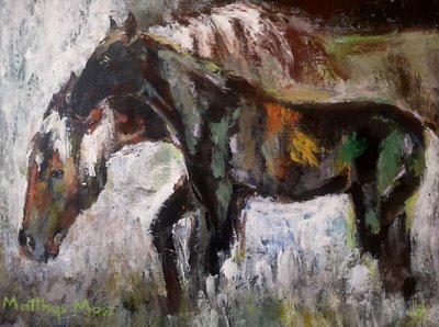 Des chevaux sauvages aux couleurs chatoyantes - Matthys Moss