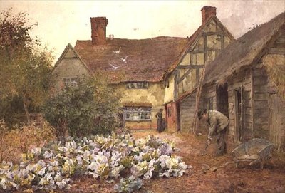 Soigner le champ de choux - Maud Naftel