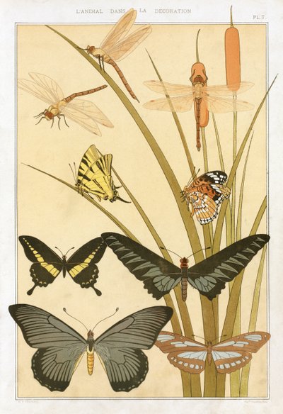 Papillons, de 