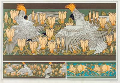 Conception pour bordure de papier peint Cacatoès et Magnolia, pub. 1897 - Maurice Pillard Verneuil