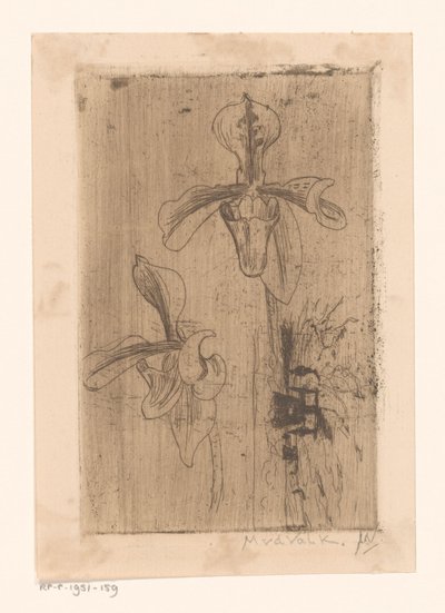 Deux orchidées et une charrette sur la plage - Maurits van der Valk (signed by artist)