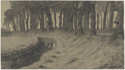 Arbres le long d