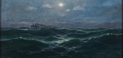 French : Les bateaux à vapeur en haute mer - Max Jensen