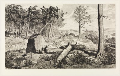 Simplicius dans la solitude de la forêt (Intermezzi, opus IV, planche 10) - Max Klinger