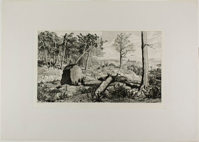 Simplicius dans la solitude de la forêt, planche dix de Intermezzos - Max Klinger