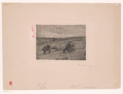 Paysage avec chèvres paissant - Max Liebermann (signed by artist)