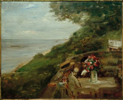 Vue de l