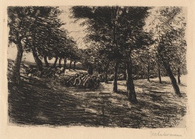Troupeau de moutons sous les arbres - Max Liebermann