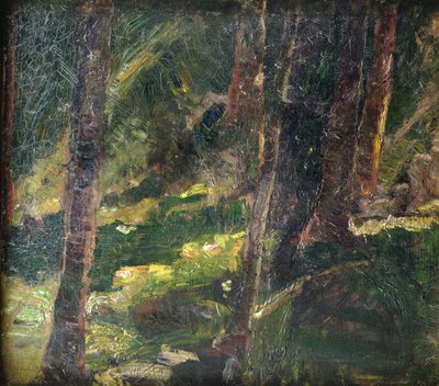Paysage (huile sur toile) - Max Slevogt