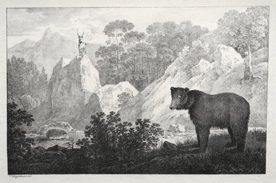 Paysage Montagneux avec Ours au Premier Plan - Maximilian Josef Wagenbauer