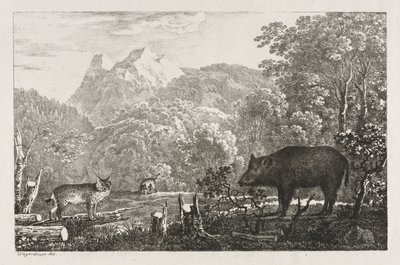 Sanglier, chat sauvage et lynx - Maximilian Josef Wagenbauer