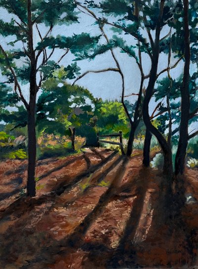 Sentier forestier « Longues ombres » - Maxine Shore