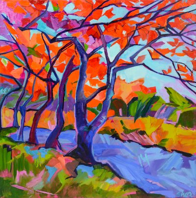 Les arbres aux couleurs chatoyantes de l