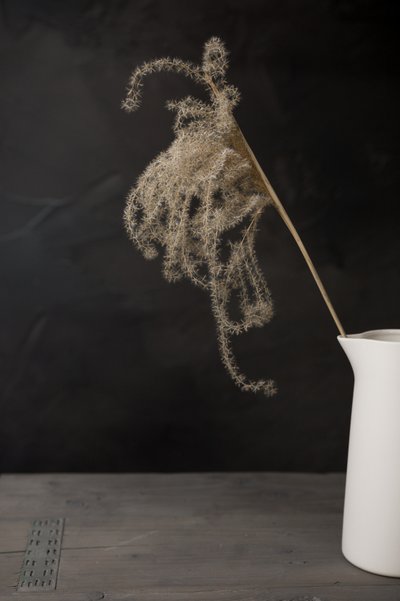 Cruche blanche avec herbe de la pampa - Mayra Pama