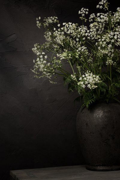 Nature morte aux fleurs sauvages blanches - Mayra Pama
