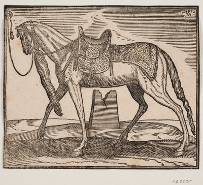 Cheval élégamment sellé, attaché à la ligne de cadre gauche, profil vers la gauche; sous le ventre du cheval, on voit une ruine - Melchior Lorck
