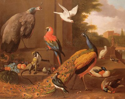 Oiseaux dans un paysage - Melchior de Hondecoeter