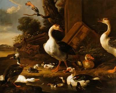 Oies chinoises et égyptiennes et autres oiseaux dans un paysage avec des ruines à proximité - Melchior de Hondecoeter