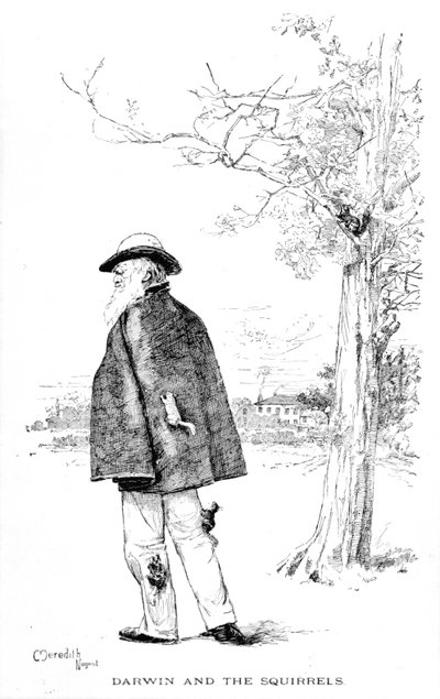 Darwin et les écureuils, illustration de Charles Darwin, sa vie et son œuvre par Charles Frederick Holder, 1899 - Meredith Nugent