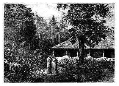 Maison hollandaise à Ternate, Indonésie - Mesples