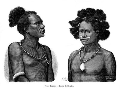 Types papous, 19e siècle - Mesples