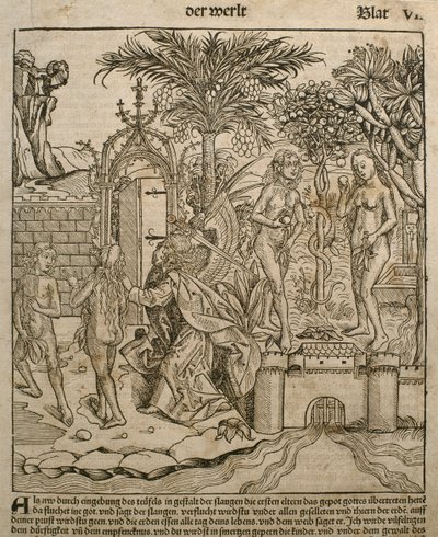 Adam et Ève, illustration du 