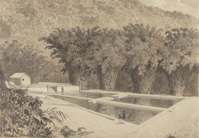 Le réservoir de Maraval - Michel Jean Cazabon