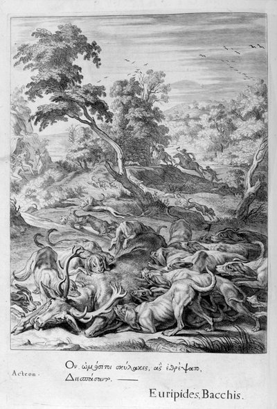Actéon transformé en cerf et dévoré par ses chiens, 1655 - Michel de Marolles